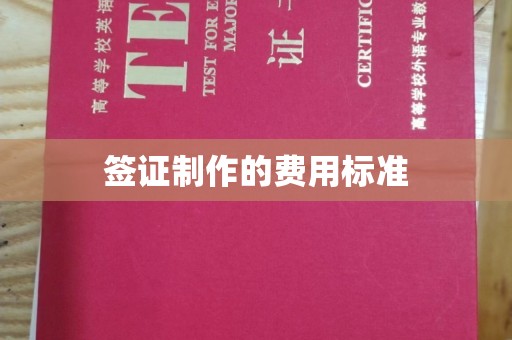 鼓楼签证制作的费用标准