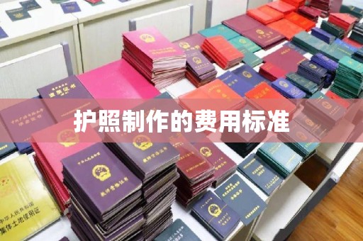 鼓楼护照制作的费用标准